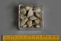 F 01503
<br/>
<br/>
<em></em>